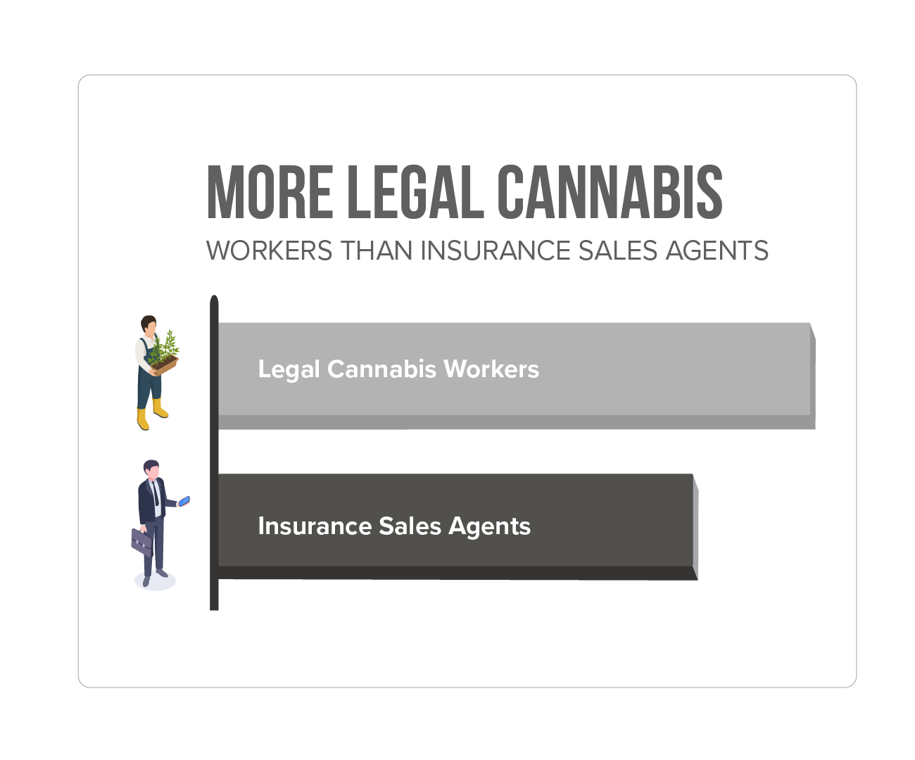 More Legal Cannabis Workers than insurance sales agents